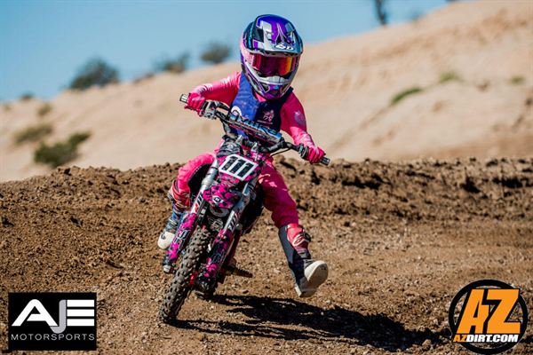 Customer photo of the KTM Pink Panther kit